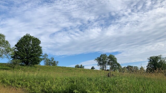 綺麗な空と敷地