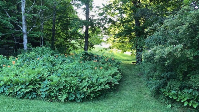 ファームハウスの周りは綺麗な庭